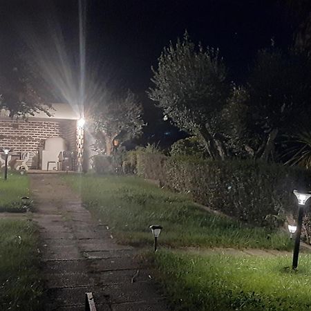 Casa Das 3 Palmeiras Arraiolos Εξωτερικό φωτογραφία