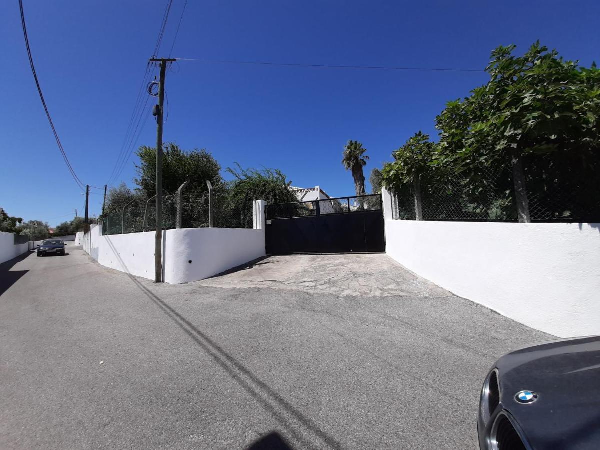 Casa Das 3 Palmeiras Arraiolos Εξωτερικό φωτογραφία