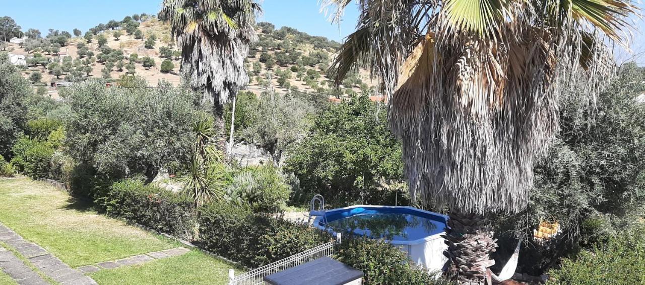 Casa Das 3 Palmeiras Arraiolos Εξωτερικό φωτογραφία
