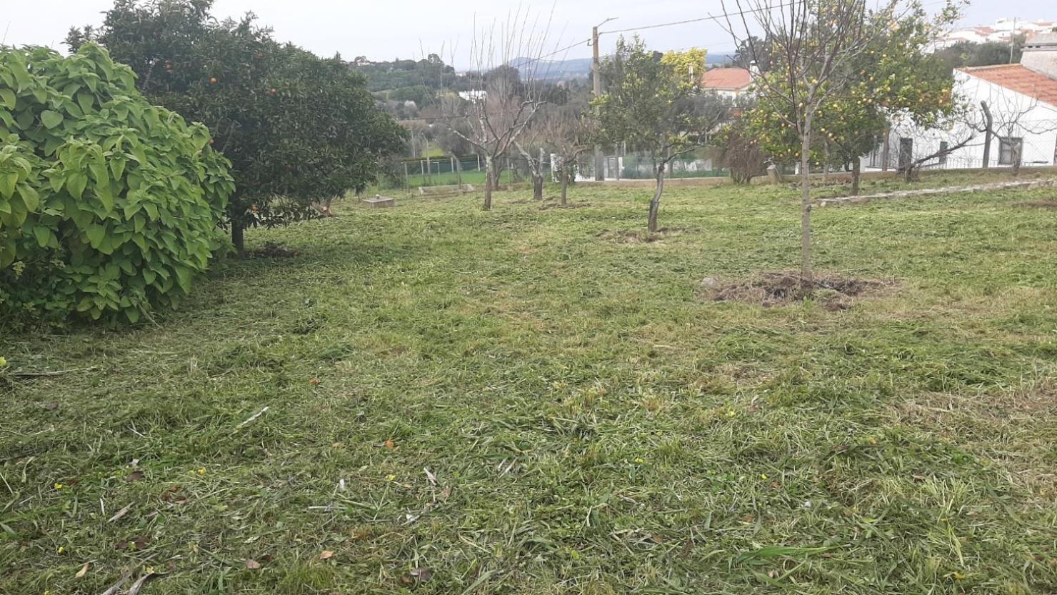 Casa Das 3 Palmeiras Arraiolos Εξωτερικό φωτογραφία